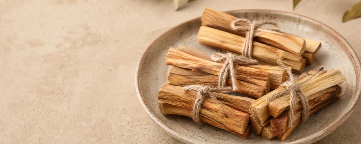 Benefícios do palo santo: paus sobre concha para limpeza energética