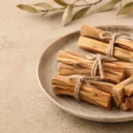 Benefícios do palo santo: paus sobre concha para limpeza energética