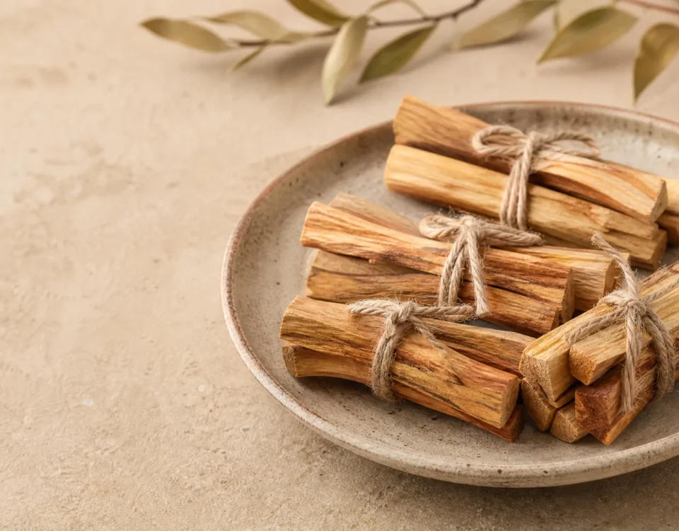 Benefícios do palo santo: paus sobre concha para limpeza energética